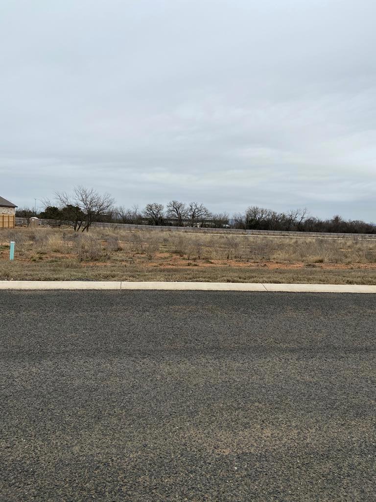 117 Madrona unit 20, Fredericksburg, TX 78624 - photo 1