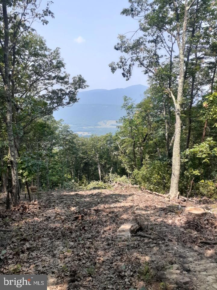 lot 353 Nathanial Mountain Rd, Moorefield, WV 26836 - photo 1