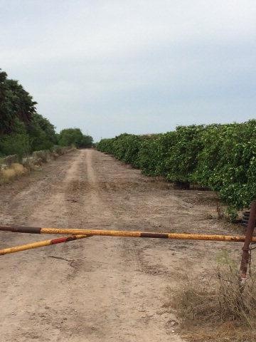 NN Sioux Rd, Donna, TX 78537 - photo 1