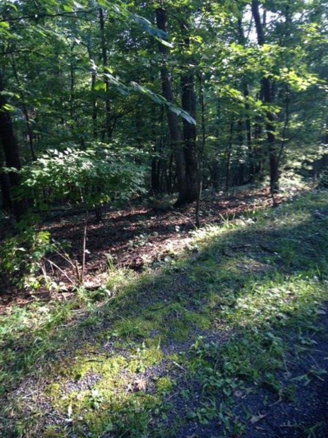 0 Lee Dr unit 580075, Basye, VA 22810 - photo 1