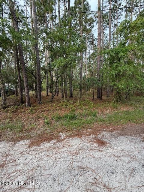 269 S High Point Rd, Boiling Spring Lakes, NC 28461 - photo 1