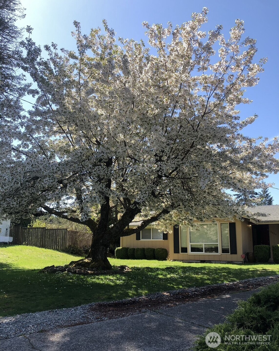 10820 109th St SW, Tacoma, WA 98498 - photo 1