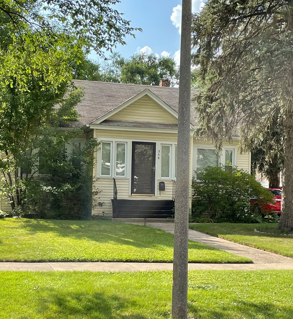 246 N Illinois St, Elmhurst, IL 60126 - photo 1