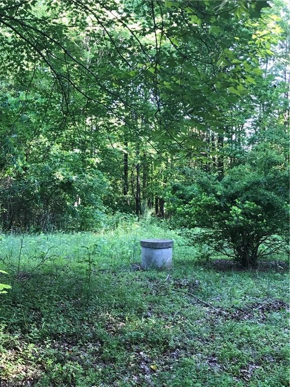 153 Gs and Ts Rd, Reidsville, NC 27320 - photo 1