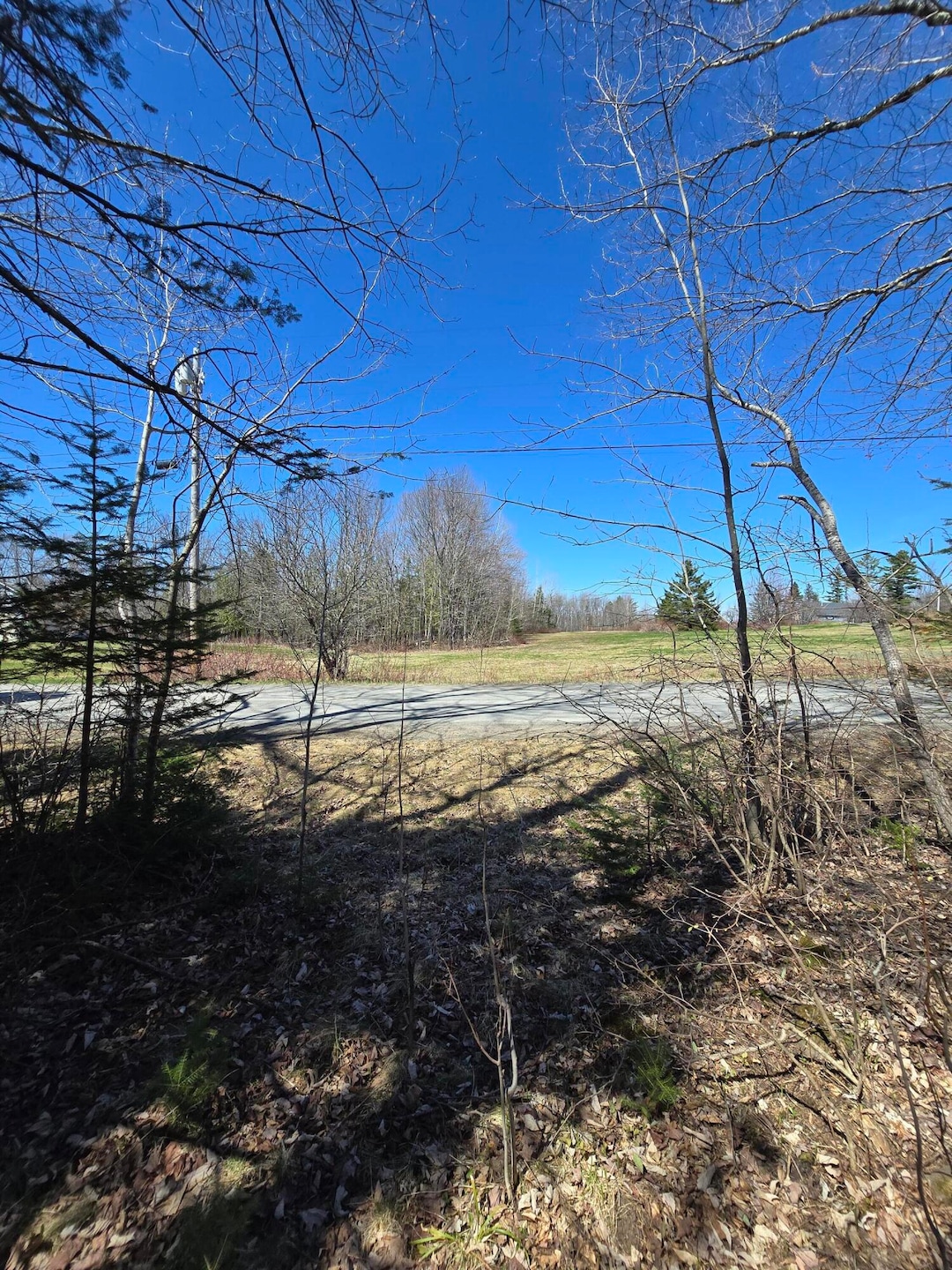 Sold $17,500 • Co-Listing Agent