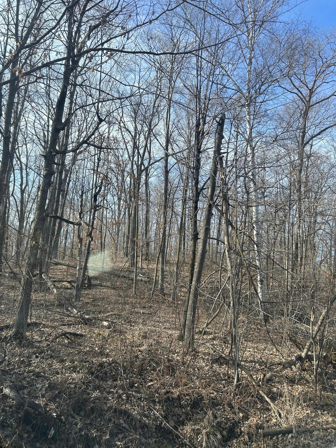 xxx Birch Curve Rd, Cushing Township, MN 56475 - photo 1