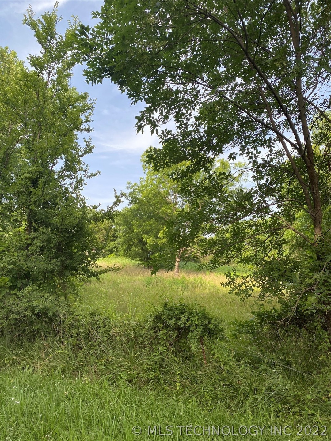 Clearing where home used to be.