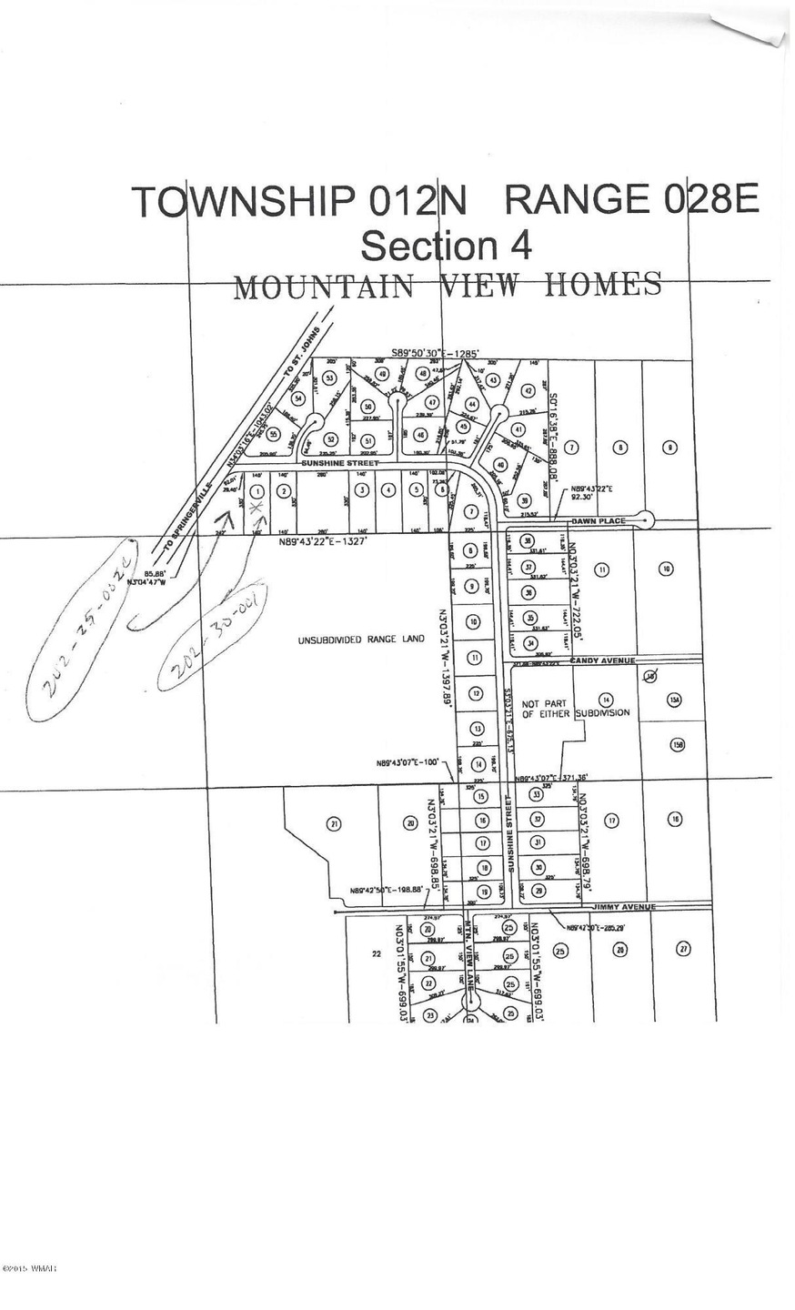 mtn view map lot 1.jpg