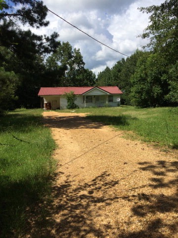 Main View