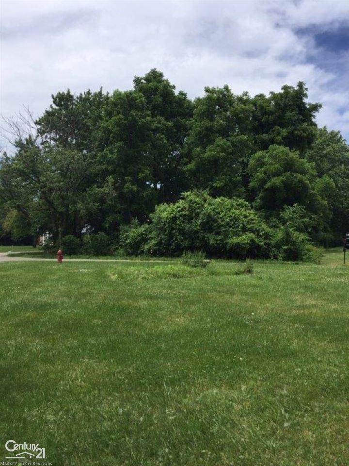 0 Eileen Dr, Bloomfield Hills, MI 48302 - photo 1