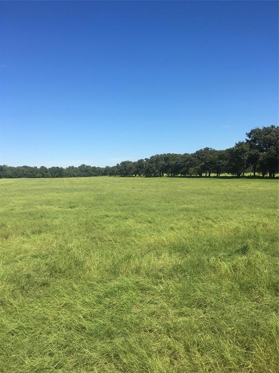 2004 Newberry Rd, Millsap, TX 76066 - photo 1