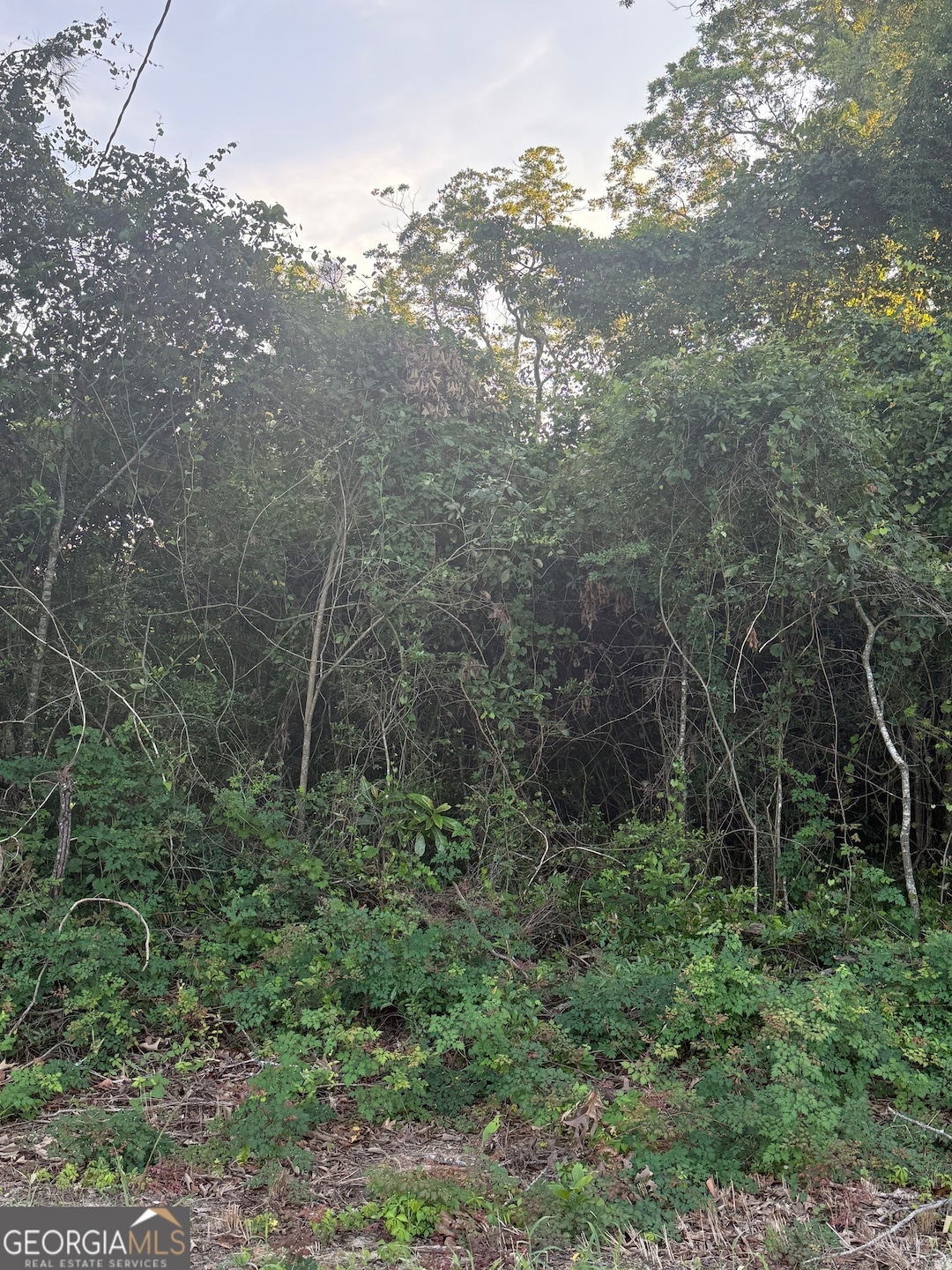 0 George Moore Rd unit 10559523, Statesboro, GA 30461 - photo 1