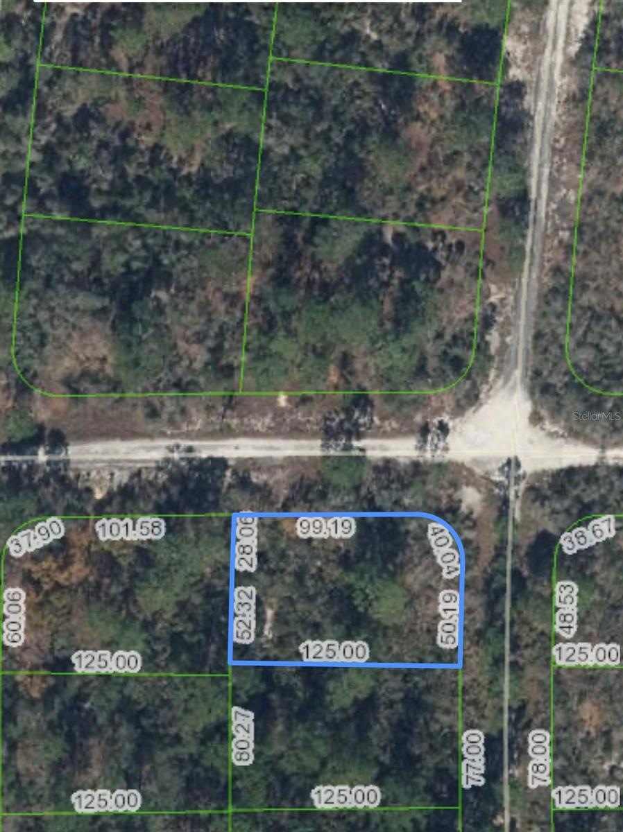 284 Rainbow Dr, Lake Placid, FL 33852 - photo 1