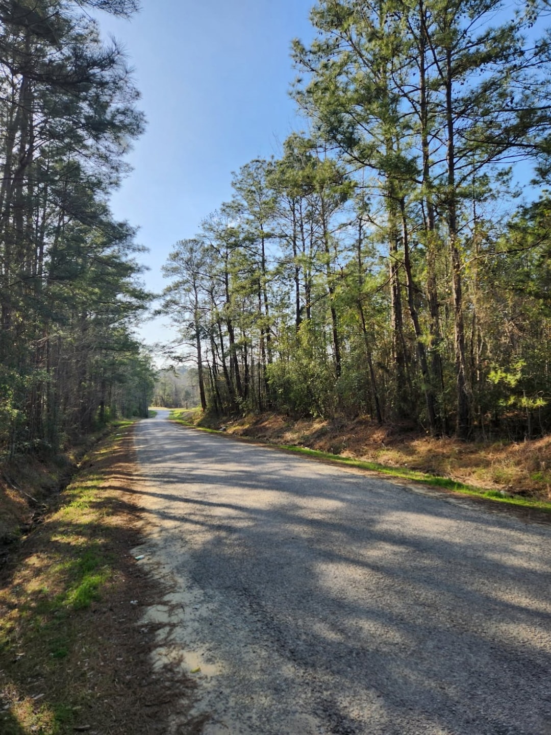 1038 Counts Rd, Point Blank, TX 77364 - photo 1