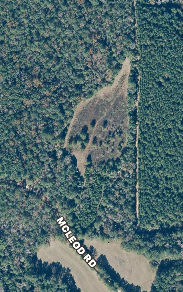 0 Mcleod Rd, Luverne, AL 36049 - photo 1