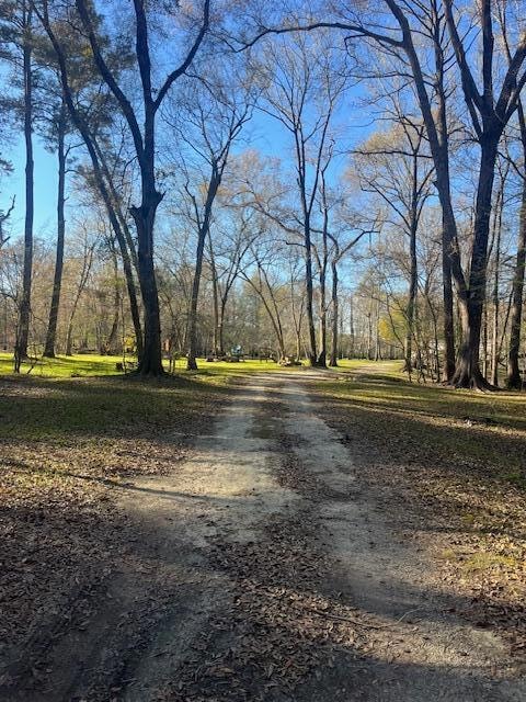 41 Mendel Ct, Round O, SC 29474 - photo 1