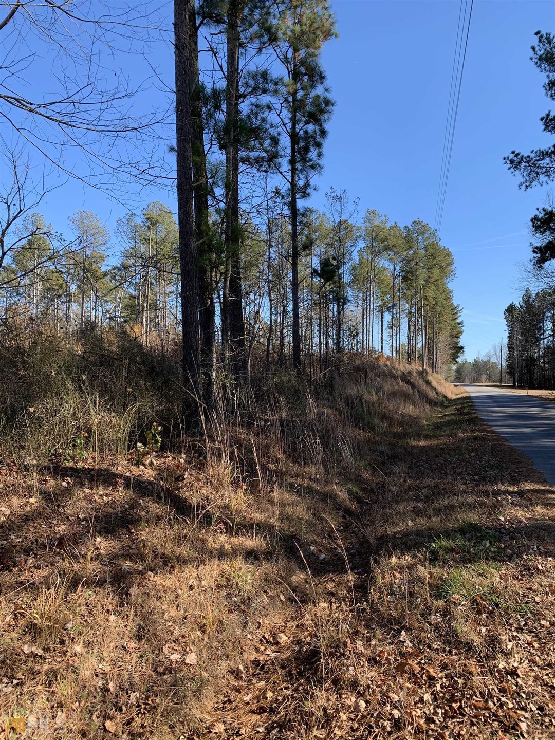 0 Lively Rd unit TRACT 1 20004941, Waco, GA 30182 - photo 1