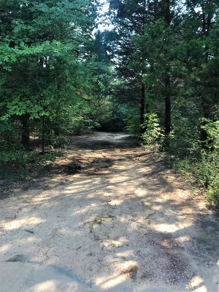 9201 Private Road 5204, Athens, TX 75751 - photo 1