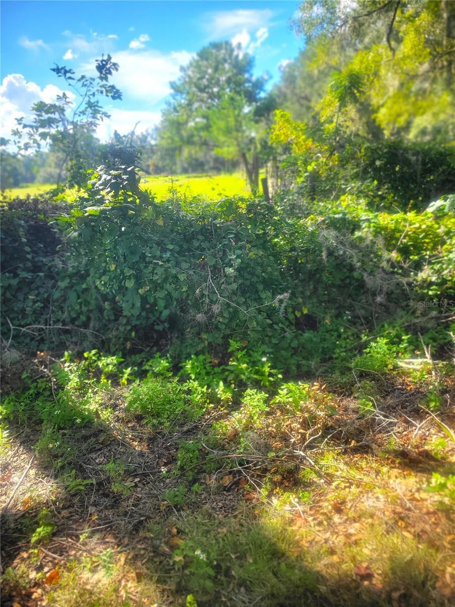 Sold $2,250,000 • Co-Listing Agent