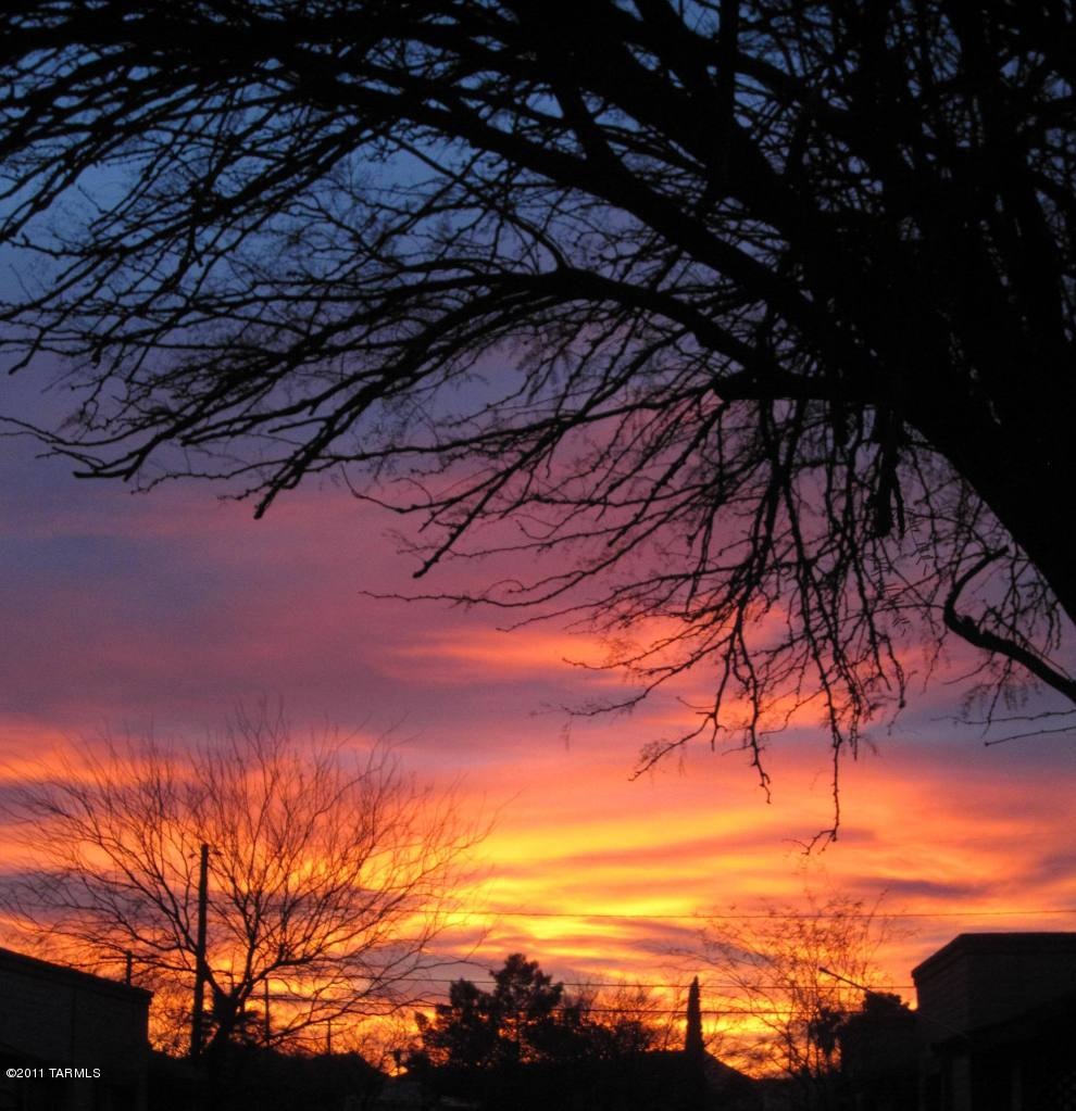 3699 N Mountain Ave unit 2, Tucson, AZ 85719 - photo 1