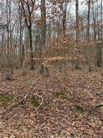 11291 Widenhouse Rd, Midland, NC 28107 - photo 1