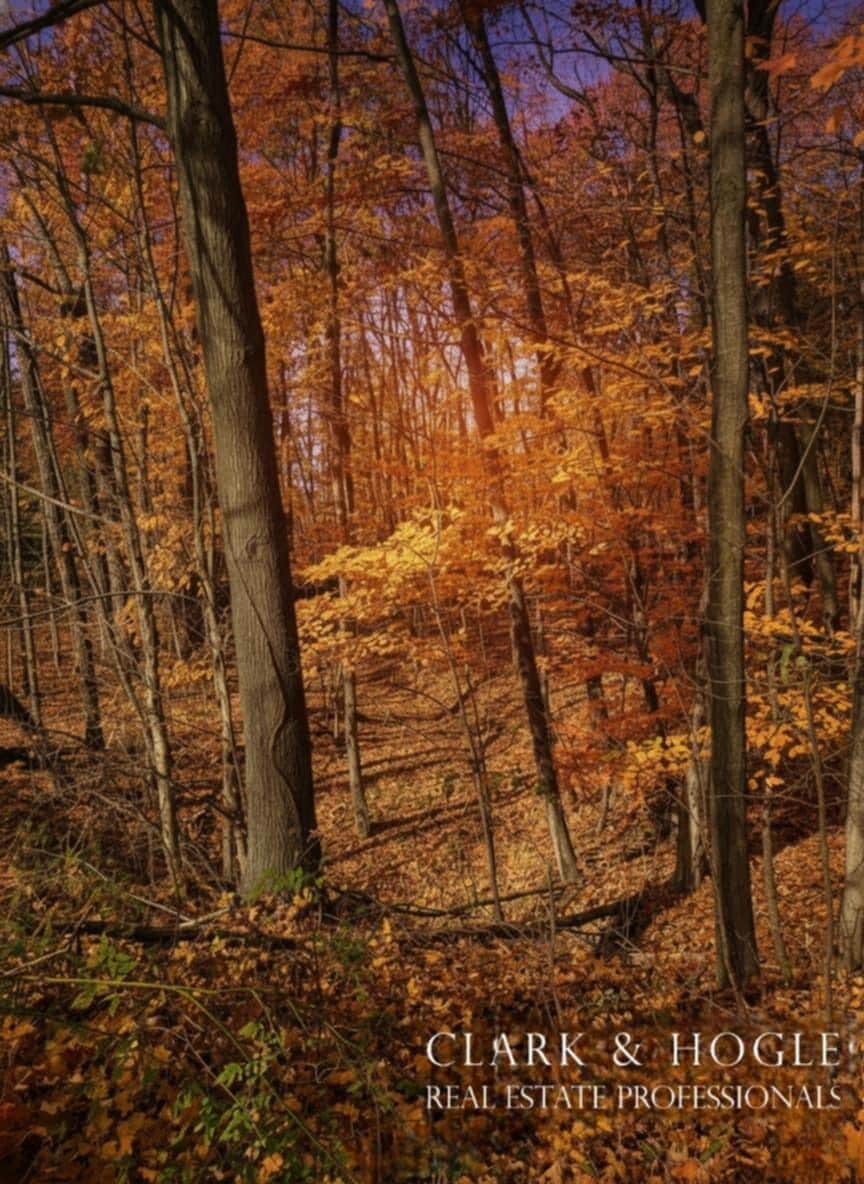 For Sale $10,000 • Co-Listing Agent