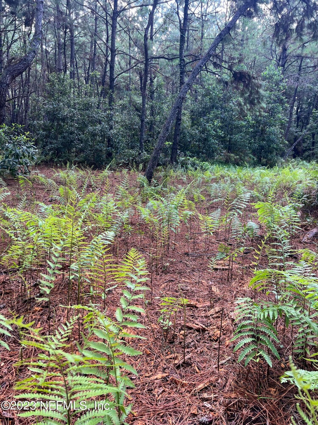 5842C452-2D33-46FC-9459-BAF70BD7B006