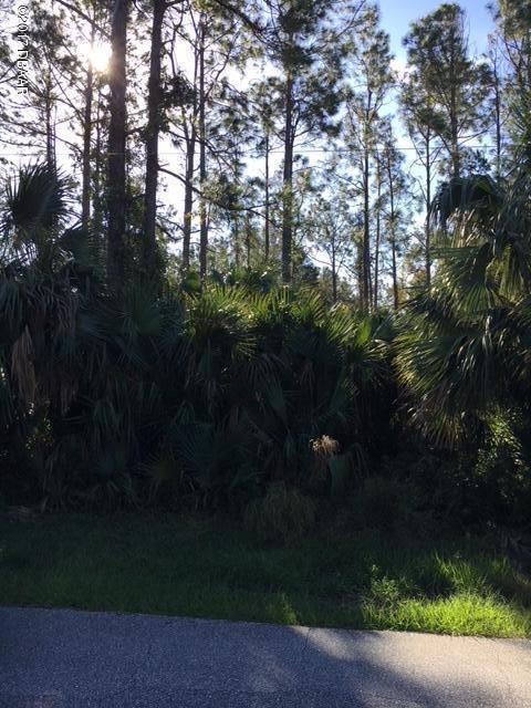 image1 (003)