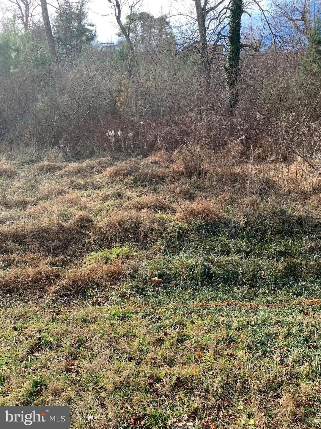 LOT 61 American Dr, Montross, VA 22520 - photo 1