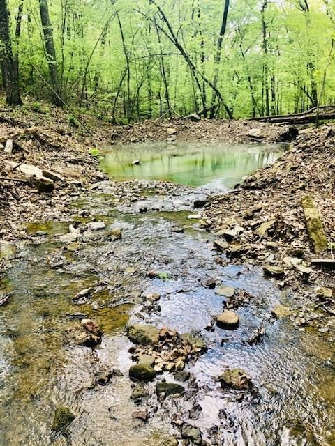 17818 Arkady Way, Winslow, AR 72959 - photo 1