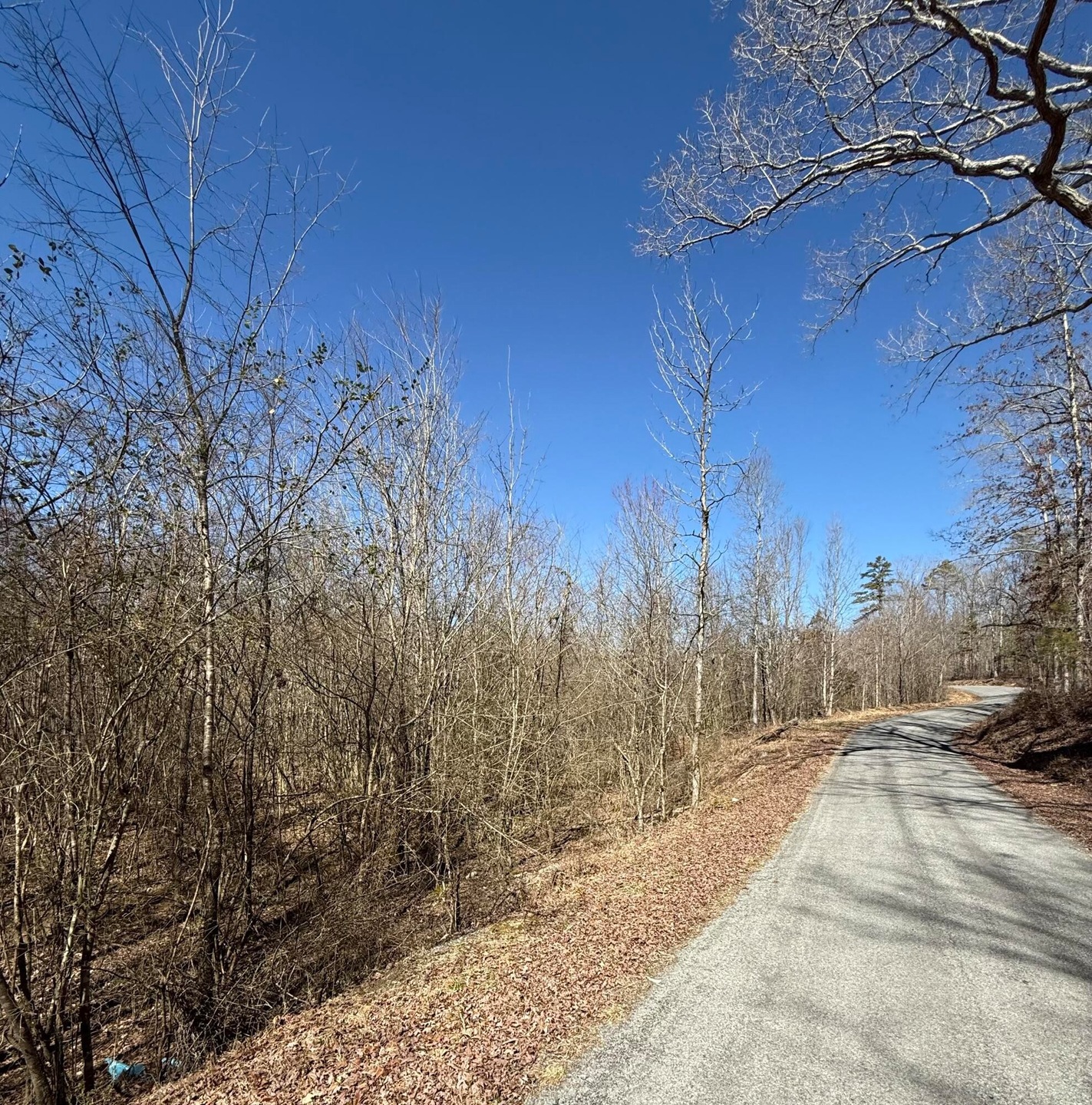 Sold $250,000 • Co-Listing Agent