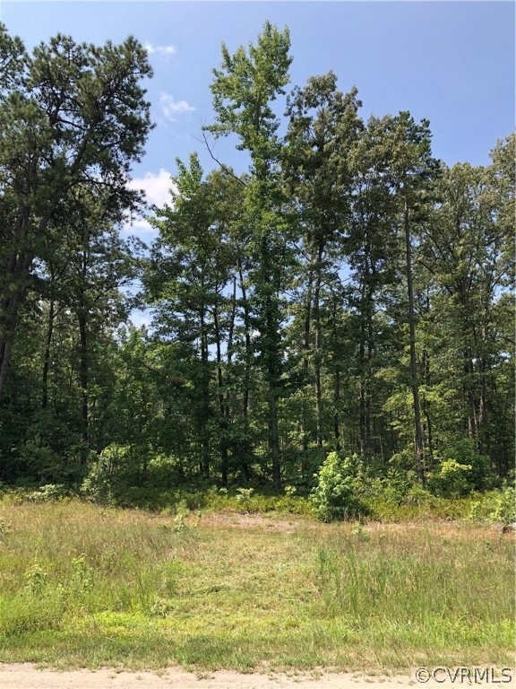 41 Dove Hollow Dr, Louisa, VA 23093 - photo 1
