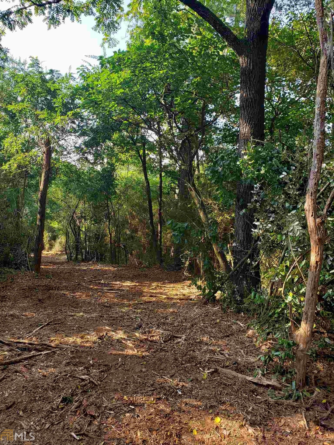 N N County Line Rd, Alto, GA 30510 - photo 1