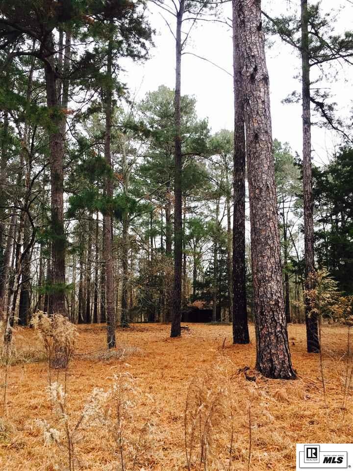 963 Claiborne Rd, Calhoun, LA 71225 - photo 1