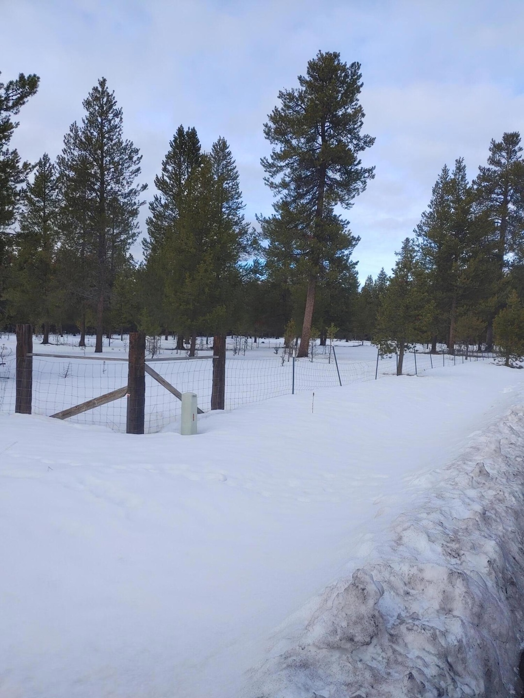 Sold $82,450 • Co-Listing Agent