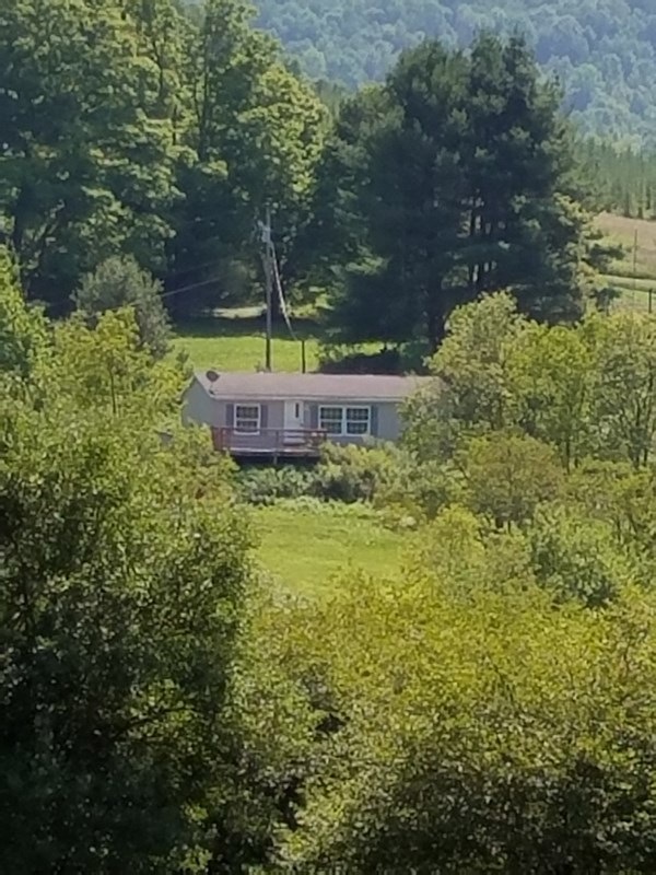 Main View