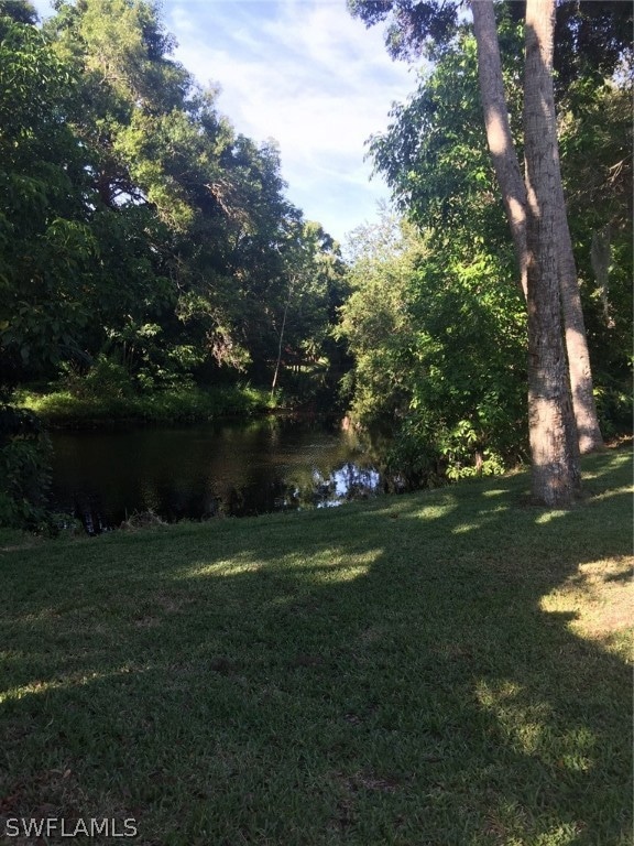 Back yard Creek View