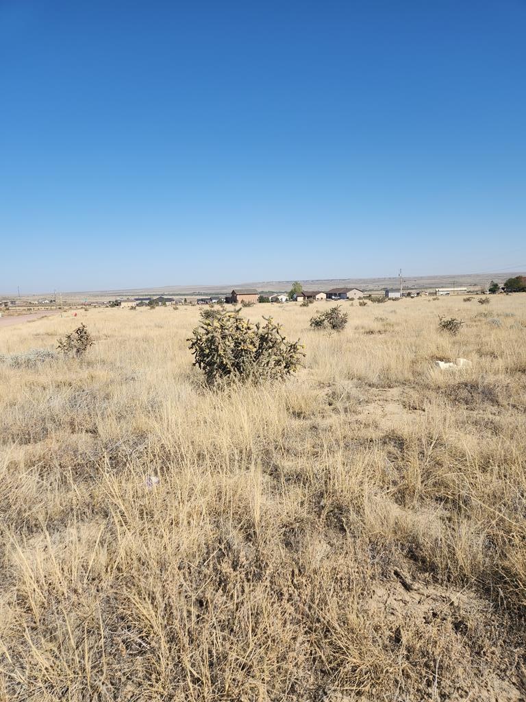 Main View