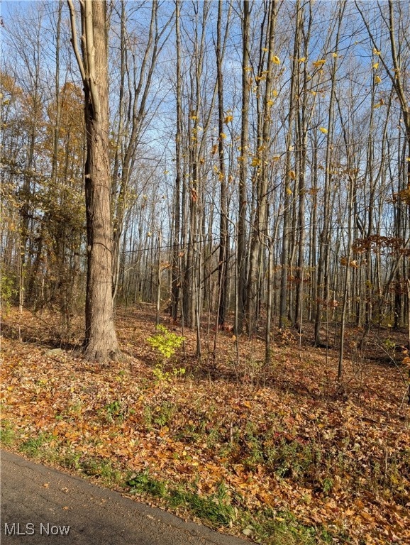 View of wooded area