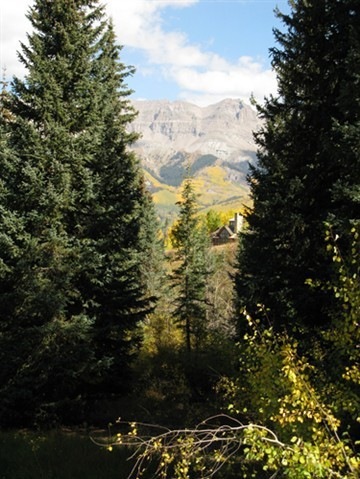 Primary Photo