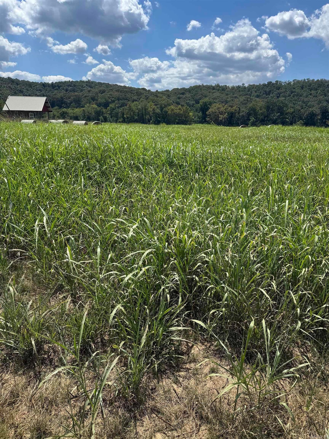 64-65 White River Run, Guion, AR 72540 - photo 1