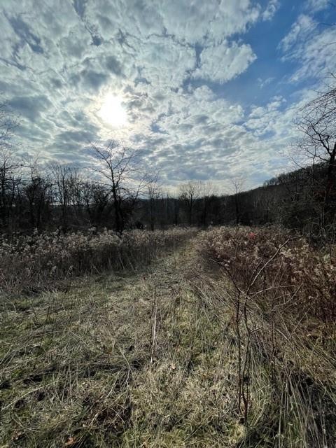 10151 Goose Creek Rd, Metamora, IN 47030 - photo 1