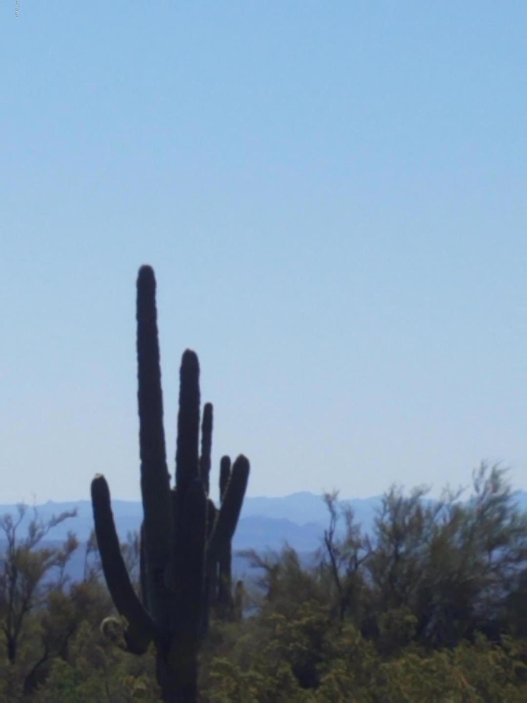 20190426_091912