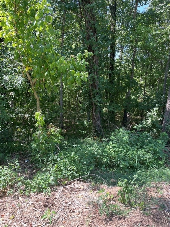 0 Gwaltney Cir, Bella Vista, AR 72715 - photo 1