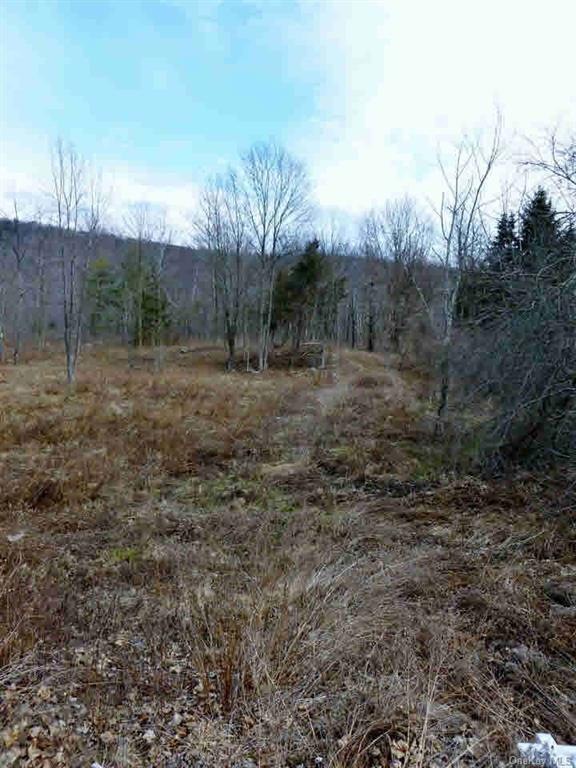 2 Pancake Hollow Rd, Highland, NY 12528 - photo 1