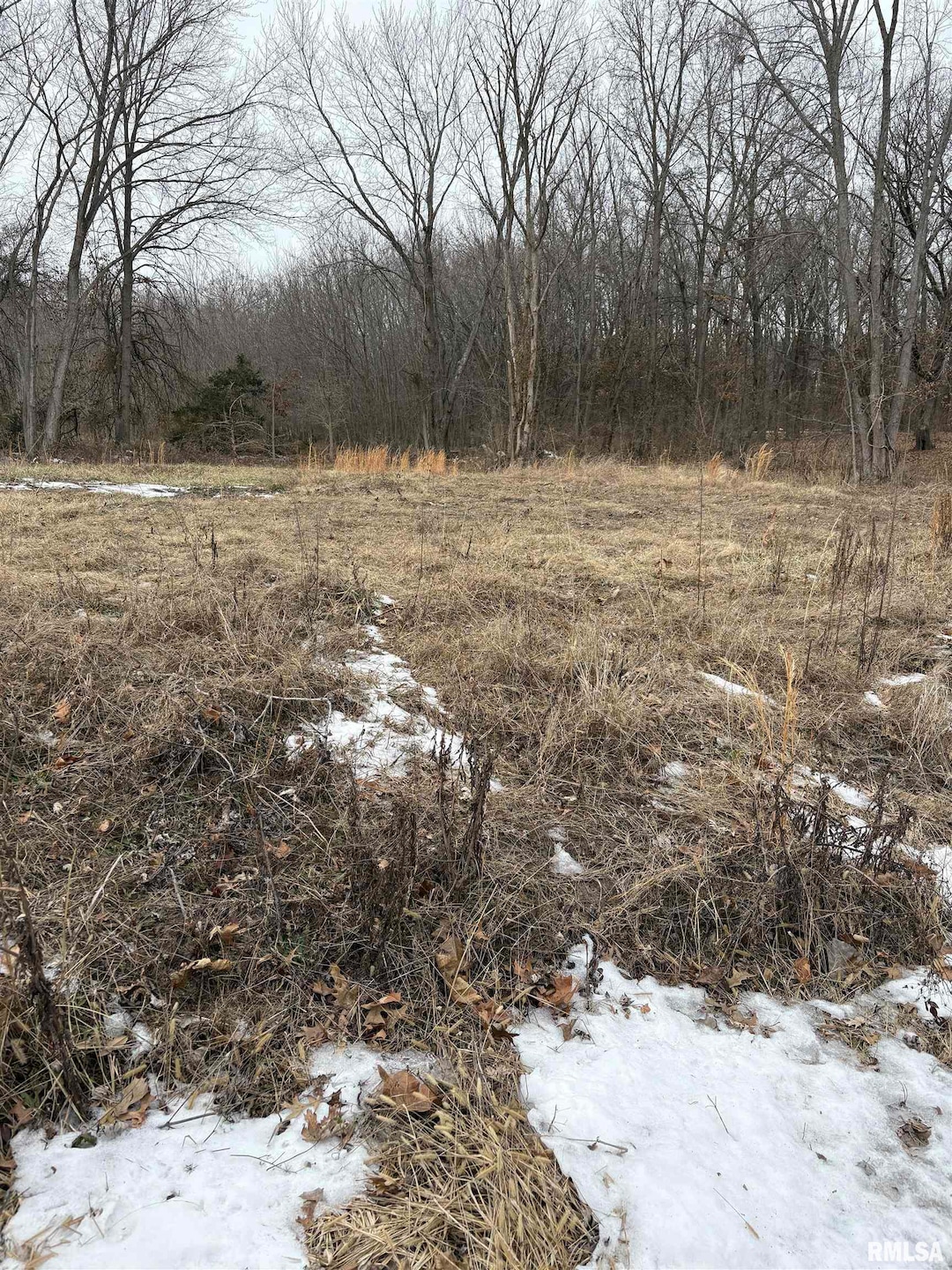 909-911 S Wilson St, Benton, IL 62812 - photo 1