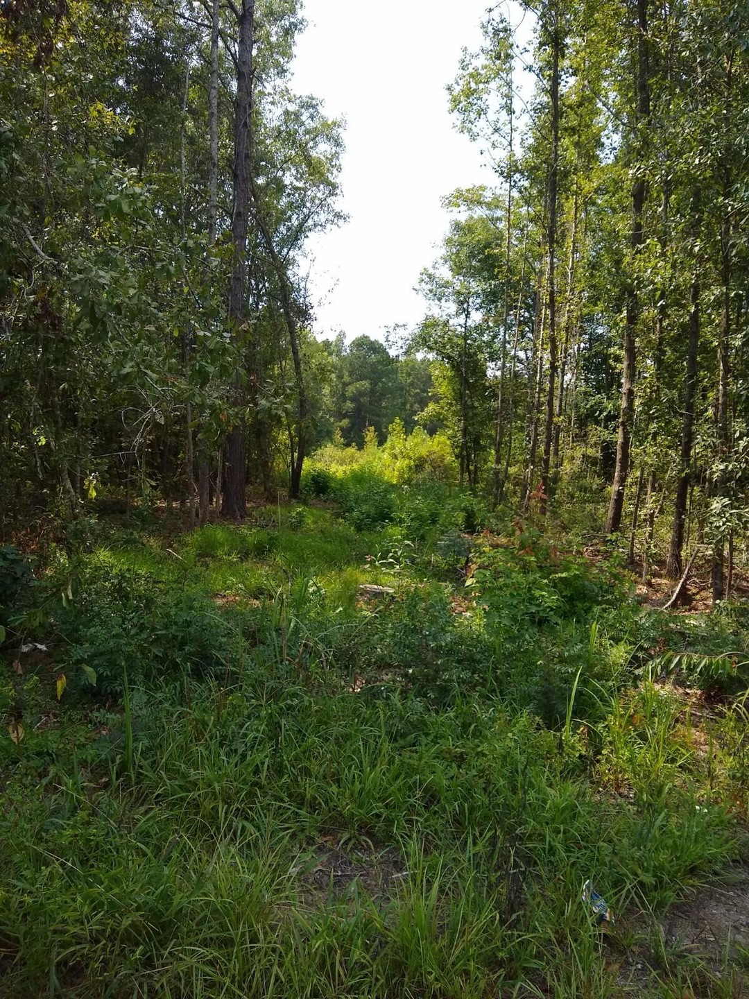 IMG_20210824_154309558