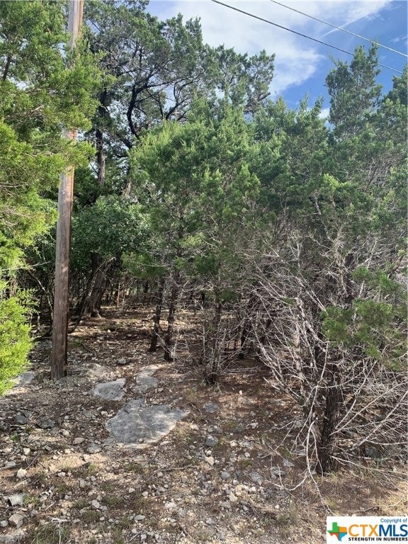 5519 Angelina, Temple, TX 76502 - photo 1