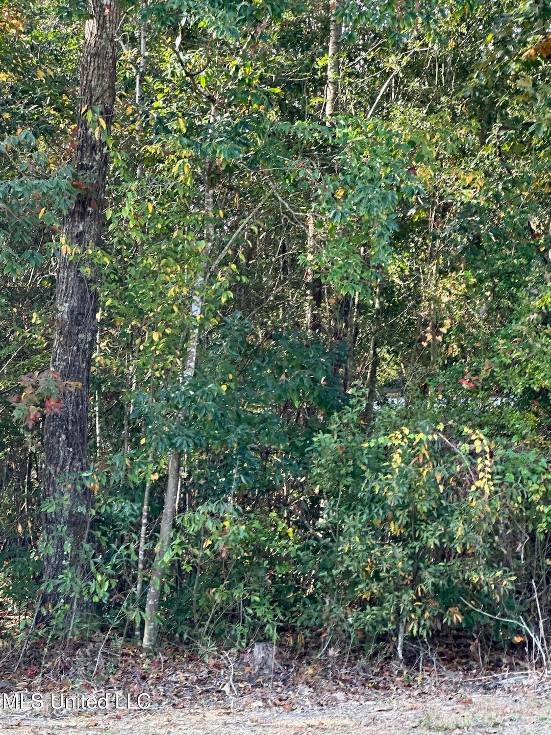 78122 Hilo St, Diamondhead, MS 39525 - photo 1