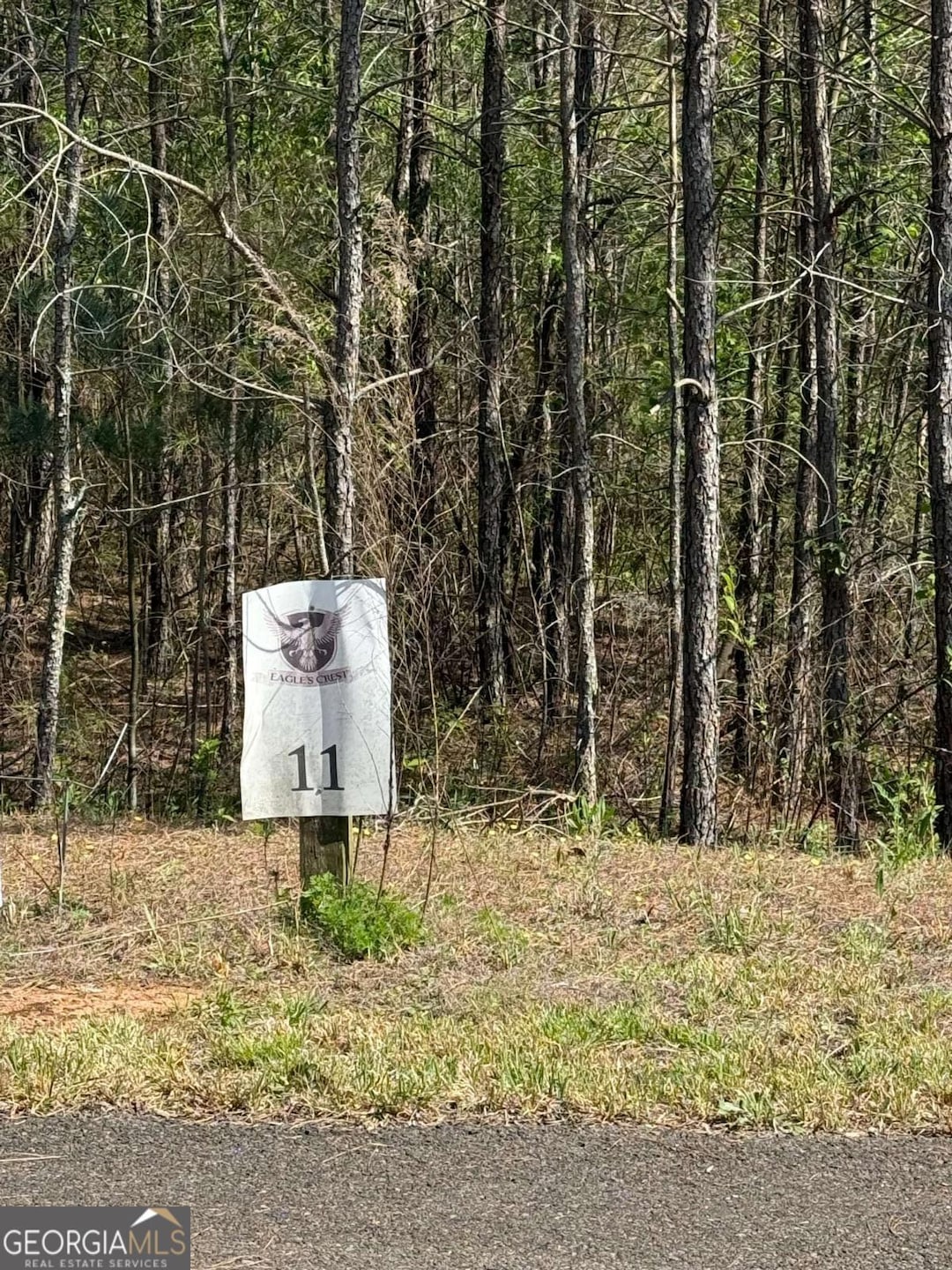 0 Eastview Trail unit 10505790, Ellijay, GA 30536 - photo 1